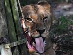 Allwetterzoo Münster - Top-Hundeurlaub