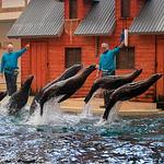 Allwetterzoo Münster - Top-Hundeurlaub