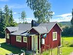 Hus Hammerstrand umgeben von Wäldern und Natur - Hus Hammerstrand - Top-Hundeurlaub