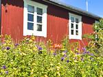 Typische Holzfassade des Hus Hammerstrand in Jämtland - Hus Hammerstrand - Top-Hundeurlaub