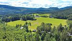Natur- und Berglandschaft rund um Hus Hammerstrand in Jämtland - Hus Hammerstrand - Top-Hundeurlaub