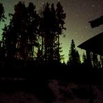 Ferienhaus Hus Hammarstrand bei Nacht – ruhige Lage in der Natur in Nordschweden - Hus Hammerstrand - Top-Hundeurlaub