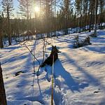 Landschaft rund um Hammarstrand – Natur und Flusslandschaft in Jämtland - Hus Hammerstrand - Top-Hundeurlaub