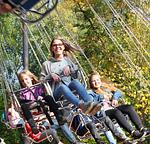 Kurpfalz-Park - Top-Hundeurlaub