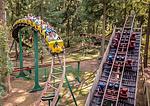 Magic Park Verden - Top-Hundeurlaub