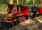Magic Park Verden - Top-Hundeurlaub