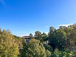 Ausblick vom Balkon - Wohnung 63 - Top-Hundeurlaub