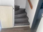Sunnyside Cottage - Top-Hundeurlaub