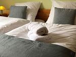 Schlafzimmer - Sunnyside Cottage - Top-Hundeurlaub