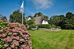 Gartenblick - Daluja - Top-Hundeurlaub