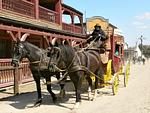 Eldorado Templin - Top-Hundeurlaub