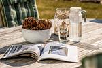 Terrasse - Ferienhaus 7 (Moin Moin) - Top-Hundeurlaub