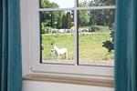 Gartenblick - Reethaus Svantevit - Top-Hundeurlaub