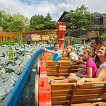 Heide-Park Soltau - Top-Hundeurlaub