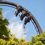 Heide-Park Soltau - Top-Hundeurlaub