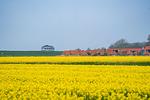 Landschaft - Ferienwohnung  Lilli Marleen 5-06 - Top-Hundeurlaub