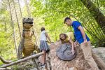 Freizeitpark Ruhpolding - Top-Hundeurlaub