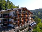 Ringhotel Mönchs Waldhotel - Top-Hundeurlaub