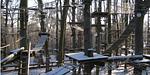 AbenteuerPark Potsdam - Top-Hundeurlaub