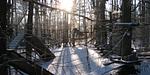 AbenteuerPark Potsdam - Top-Hundeurlaub