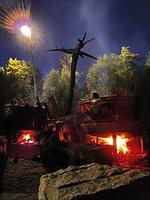 Abenteuerpark Kulturinsel Einsiedel - Top-Hundeurlaub