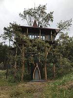 Abenteuerpark Kulturinsel Einsiedel - Top-Hundeurlaub