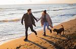 Sport / Aktivitäten - Strandperle Apartment 16 - Top-Hundeurlaub