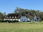 Litzkow 16501 - Top-Hundeurlaub