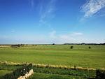 Gartenblick - Litzkow 16501 - Top-Hundeurlaub