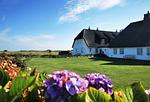Garten - Litzkow 16501 - Top-Hundeurlaub