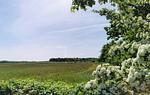 Gartenblick - Litzkow 16501 - Top-Hundeurlaub