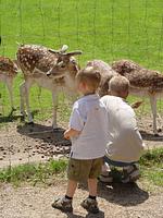 Freizeitpark Plohn - Top-Hundeurlaub