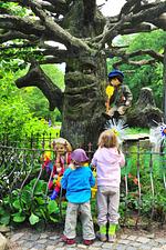 Freizeitpark Plohn - Top-Hundeurlaub