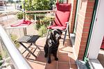 Rosenblick E8 - Top-Hundeurlaub