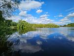 Fewo an d. Müritz - Krös Boek Landschaft - Ferienwohnung an der Müritz - Top-Hundeurlaub