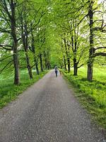 Walters Apartment - Wohlfühlurlaub für Mensch und Hund - Top-Hundeurlaub