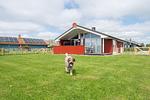 Ferienhaus Seabreeze - Top-Hundeurlaub