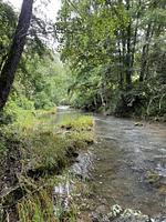 Ferienhaus Chalet an der Brettach - Top-Hundeurlaub