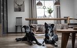 Ferienhaus Chalet an der Brettach - Top-Hundeurlaub