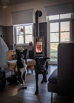 Ferienhaus Loft alte Schreinerei - Top-Hundeurlaub