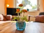 Wohnzimmer mit Dekoratives Detail - Haus 61c - Top-Hundeurlaub