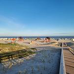 Ferienwohnung Appartment Teezauber - Top-Hundeurlaub