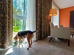 Heide Spa Hotel & Resort - Top-Hundeurlaub