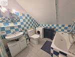 Badezimmer - Apartment Abendrot by FiS - Fun in Styria - Top-Hundeurlaub