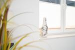 Dekoratives Detail - Gerle - Top-Hundeurlaub