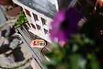 Dekoratives Detail - Bed & Bike, Zur Alten Volksbank 1 - Top-Hundeurlaub