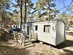 Hauptansicht - Strand-Koje 823: strandnah, Terrasse - Top-Hundeurlaub
