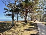 Landschaft - Strand-Koje 823: strandnah, Terrasse - Top-Hundeurlaub