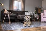 Ferienhaus S`bunde Heisle - Top-Hundeurlaub