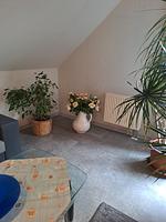 Ferienwohnung Hartmann - Top-Hundeurlaub